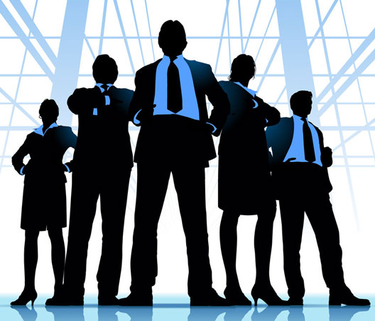 Career Maximization and Co-Execution Services